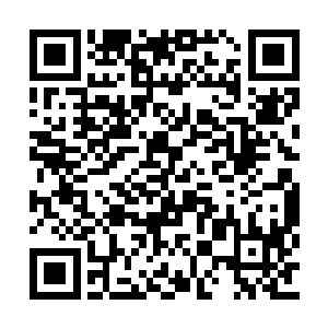 乃至眼下也是如此他们防备的重点都在彼此身上二维码生成