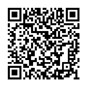 久违的西餐让卢八娘认识到孟白还是烹饪爱好者二维码生成