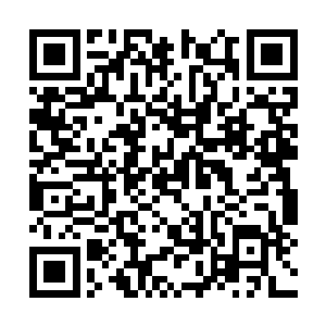 义无反顾地扎进了爸爸曾经夜以继日待着的练功房二维码生成