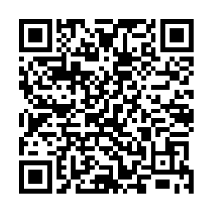 之前东皇生水还真的以为太上大长老是欣赏夏天的才华的二维码生成