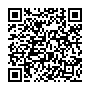 之前他们感受到了一股恐怖的力量笼罩神晶矿脉二维码生成