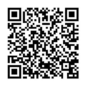 之前他们还在猜测这林天旭等陌生面孔会是什么来历二维码生成