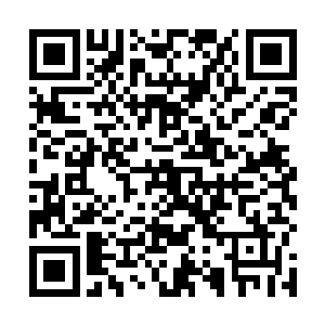 之前他和奥利维亚可是一个机器人一个机器人问过来的二维码生成
