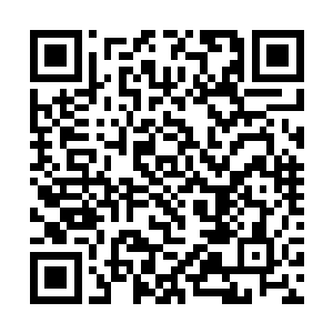 之前他还不明白这里的伪仙器为什么卖那么高的价格二维码生成