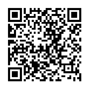 之前众人也没有想到这一路上竟然要经过如此长的距离二维码生成
