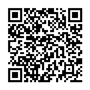 之前几人曾在狂山派山门遇到过那个梁家的少年梁月二维码生成