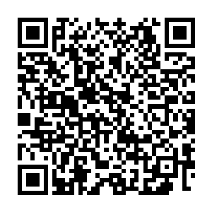 之前出现的功法和武技基本上都达到或者接近顶尖天阶极品武技层次二维码生成