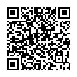 之前去出任务的时候奥利维亚从来都是驾驶黑蛋萌萌去的二维码生成
