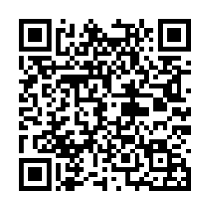 之前双头裂体兽抓住的那只小海带魔兽早就交代了二维码生成