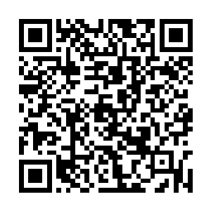 之前发声的是一名手上有着九节蛇首鞭的紫发女人二维码生成