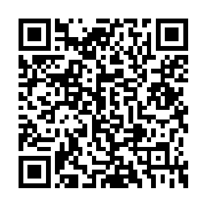 之前和中年人对拳的最后一瞬间他施展出了暗劲二维码生成