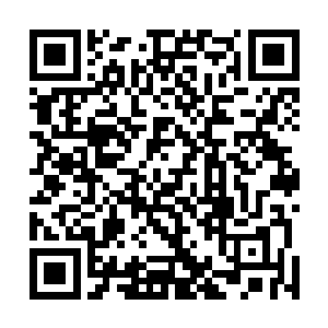 之前和龙战还有老祭祀已经清晰的划定了两个部落的界限二维码生成