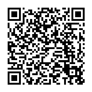 之前在城墙上面还没有被摧毁的炼金巨炮和防御符文都开始闪烁起来二维码生成