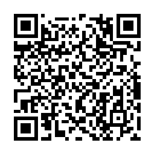 之前在帕劳塔大街发生交战的正是华夏的维和部队二维码生成