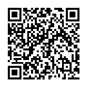 之前在范德萨扑出点球时还高举双臂准备欢呼的曼联球迷二维码生成