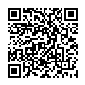 之前在这个城堡大门高处安排火力点的人绝对是个行家二维码生成