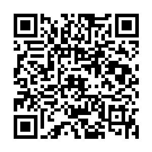 之前她们加进来的时候一听到夏天的名字都是一愣二维码生成