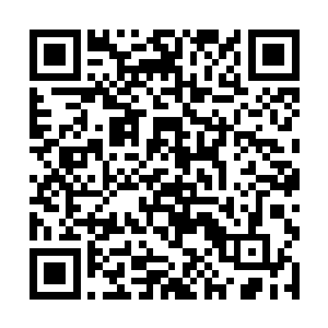 之前她倒是在车里听过乃扎伦打电话说什么带人过来二维码生成