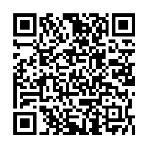 之前好不容易掌握了七八成的六条主脉内劲修为二维码生成