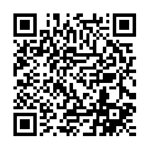 之前如果说叶秋只是为组织的这个计划感到震撼和难以置信的话二维码生成