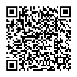 之前妖灵尊跟他们说过自己是因为一个赌约被困在那里上百万年的二维码生成