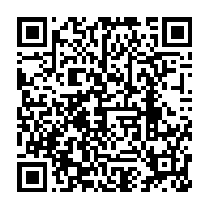 之前完全没把这只新找回的畸形儿放在心上的族长等人都感到了异样二维码生成