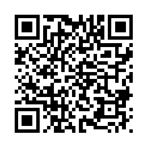 之前师父让我多照看一下如意公主二维码生成