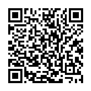 之前我明明探测到他的僵尸之躯含有一丝雷属性的啊二维码生成