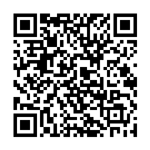 之前我最怕的是容丹枫用雪桦姨在拍卖会上威胁卓景二维码生成