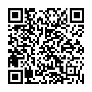 之前才在机甲广场入口的那圆形玻璃那里闹了一次笑话二维码生成