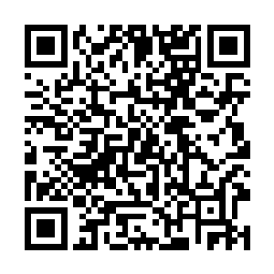 之前才涌起对晏晨的那一抹愧疚瞬间消失的无影无踪二维码生成