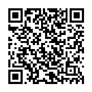 之前拔出军刀走进来不光是方便挑开面纱面罩检查二维码生成