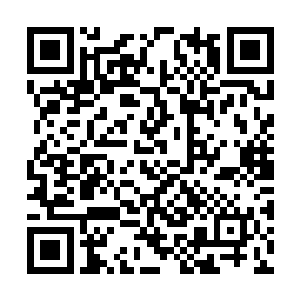之前曾在接引池见过他们的那几名仙人并不在这里二维码生成