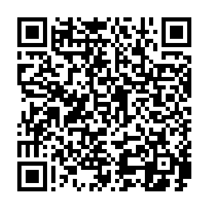 之前有吃下神血石的普通生物很可能因为无法吸收这股力量而直接导致身体爆炸二维码生成