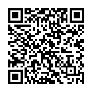 之前杀来还凶猛异常的上百名黑衣人转眼数十人惨死二维码生成