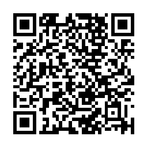 之前杨开带着雪月来这里找宗傲的时候也见过一次二维码生成