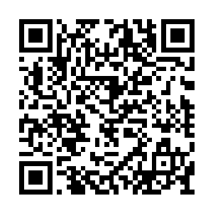 之前留下来劫掠资源的族人显然也都已经离开了二维码生成