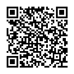 之前的时候按照你的推断剩下的钥匙残片应该在大长老手中吧二维码生成