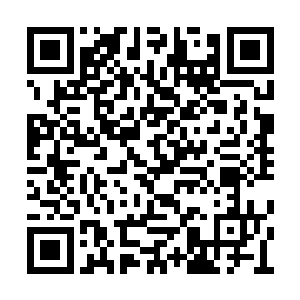 之前的时候放过两个老者已经是龙傲天的极限了二维码生成