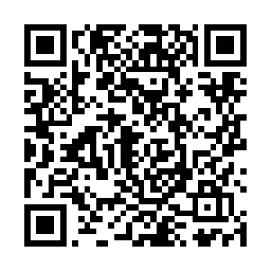 之前的时候杨戬已经跟萧雨韵和武天娇两个人商量好了二维码生成