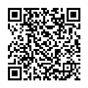 之前的时候杨戬的前车之鉴他们可都是看的清清楚楚二维码生成