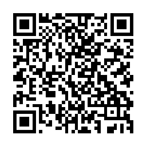 之前的时候虚空之中的压力只是给杨戬一种巨大的压力的感觉二维码生成