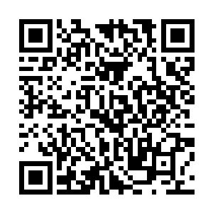 之前的时候锦鲤一族的人可是见识过龙傲天的那恐怖的分身二维码生成