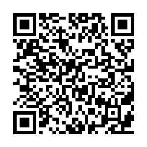 之前的时候龙傲天一直在逍遥神戒之中炼制丹药二维码生成