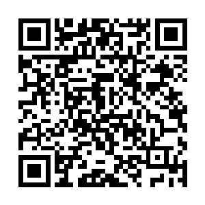 之前的时候龙傲天已经将所有的事情都已经处理好了二维码生成