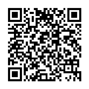 之前的时候龙傲天已经见识过了十大洞天之一的琉璃圣境二维码生成