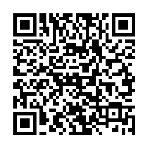 之前的白鸽勉强算是一个刚刚要进入圣级中期的人二维码生成