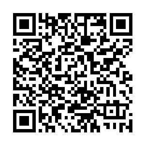 之前的目标就只是以让叶南天月宫雪夫妻团聚为大前提二维码生成