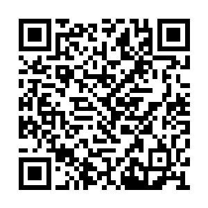 之前的迹象已经让龙傲天差不多确认了她的身份二维码生成