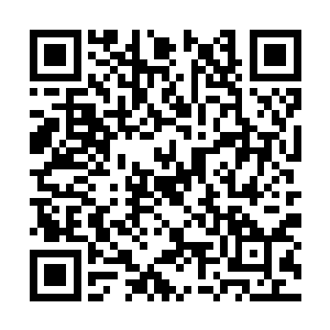 之前的霍君白虽然继承了墨子和鬼谷子的仙术武艺二维码生成